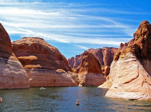 农业农村部：：增强实验室生物清静治理 包管畜牧业生产清静