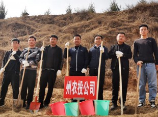 5657威尼斯加入2021年春季义务植树活动